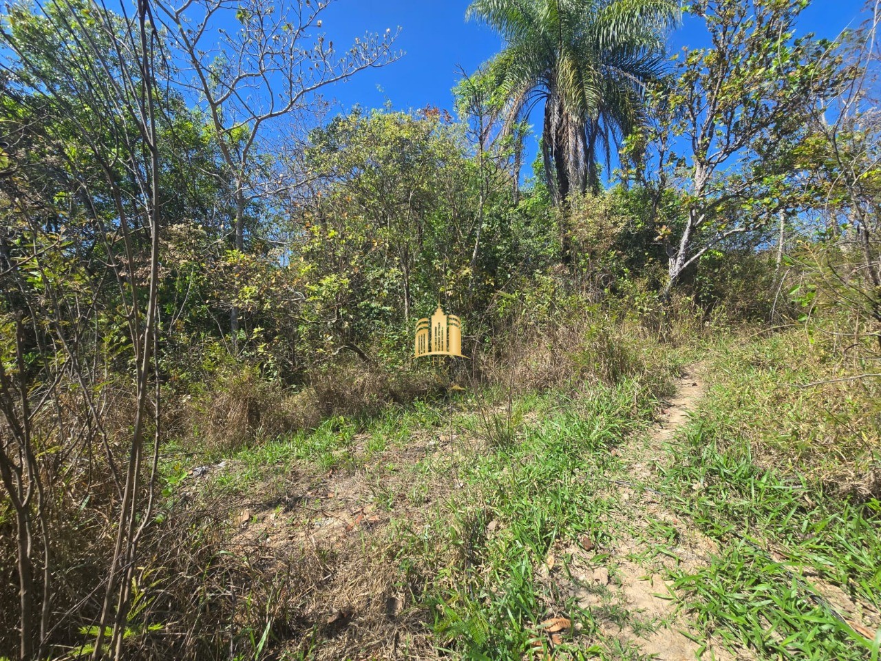 Terreno, 1000 m² - Foto 2