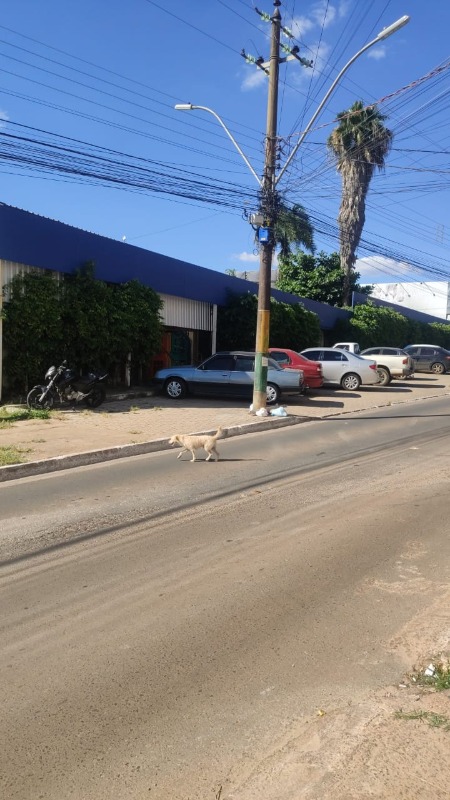 Residencial rubi riacho fundo i - quartos amplos, com vista 