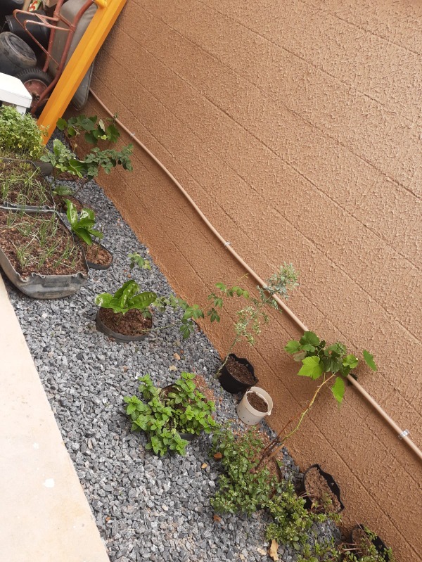 Total Ville Santa Maria - Apartamento 2 quartos térreo, com quintal e já foi feito o fechamento da cobertura na parte externa, com área de serviço. Ap