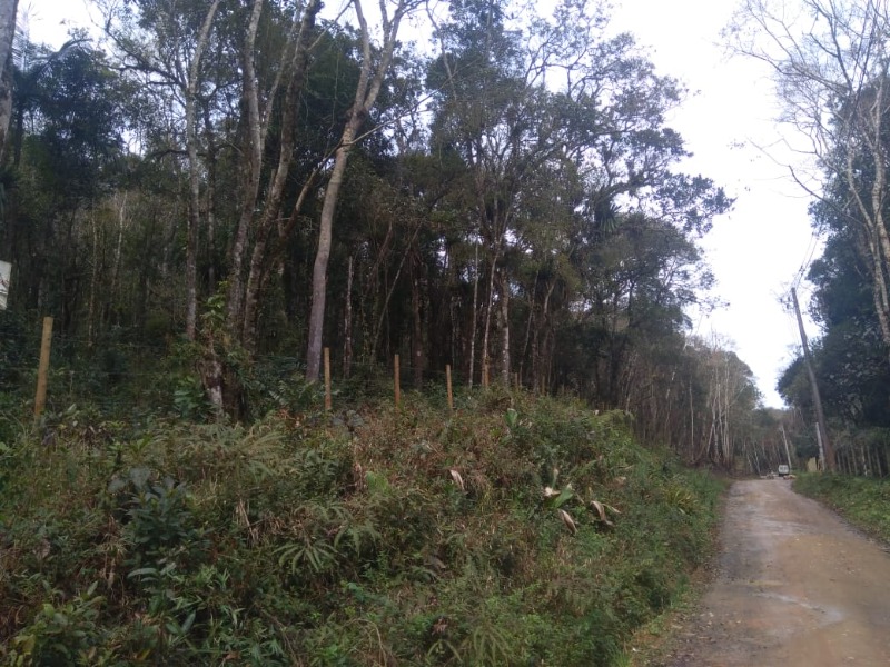 TERRENO RURAL em JUQUITIBA - SP, Centro