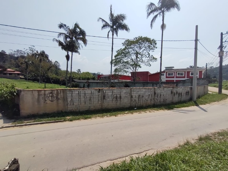 Terrenos medindo 250,00 m²