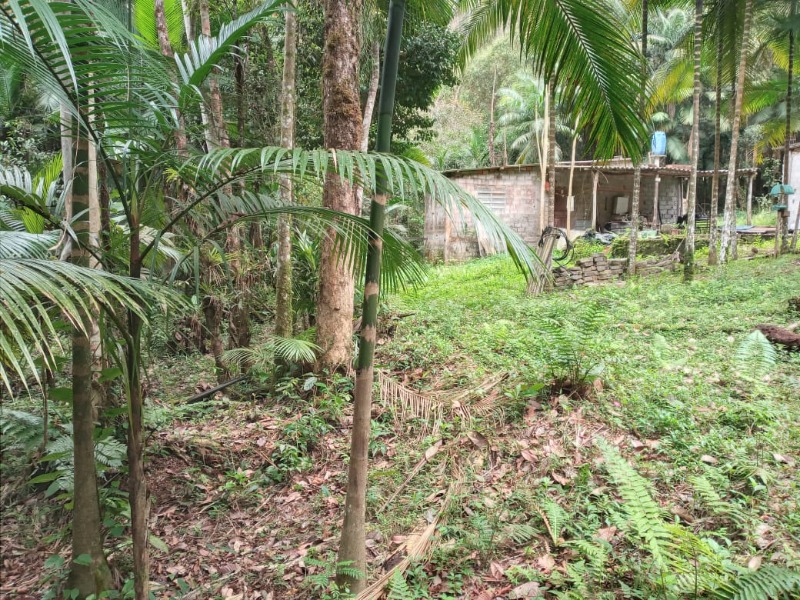 Terreno 23.000m² localizado a 3,5km da rodovia e Rico em Água em Juquitiba-SP