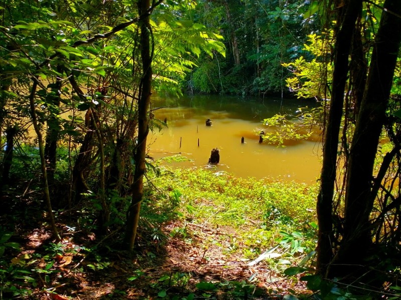TERRENO RURAL em JUQUITIBA - SP, Centro