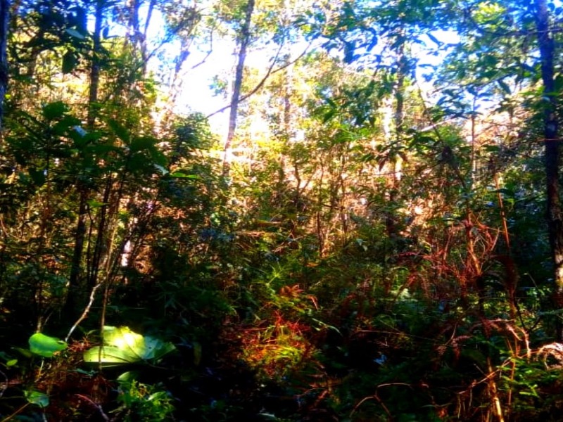 TERRENO RURAL em JUQUITIBA - SP, Centro