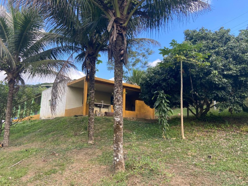 Lindo sítio em Miracatu-SP Km 384 da Rodovia Régis Bittencourt BR 116