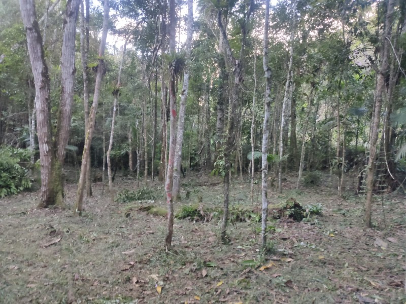 TERRENO RURAL em JUQUITIBA - SP, Centro