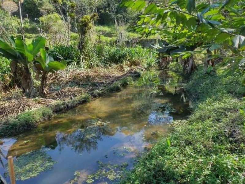TERRENO RURAL em JUQUITIBA - SP, Centro