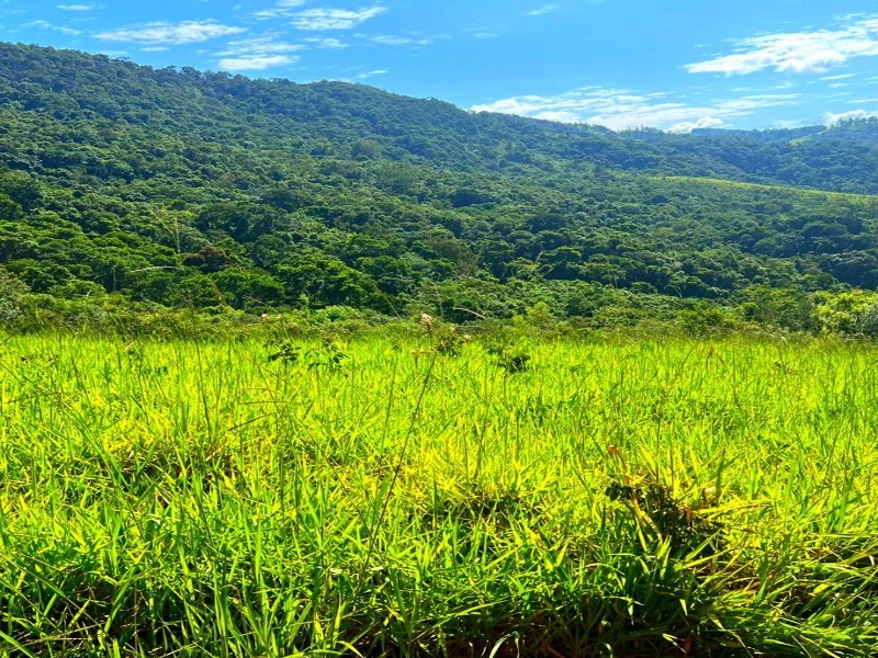 Terreno 20.000m² Localizado no Centro de Vargem-SP