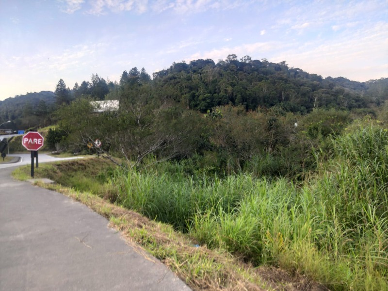 Terreno 12.000m² na Beira da Rodovia