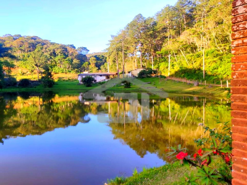 Propriedade 04 Alqueires (96.800m²) Riquíssima em água no município de Juquitiba-SP