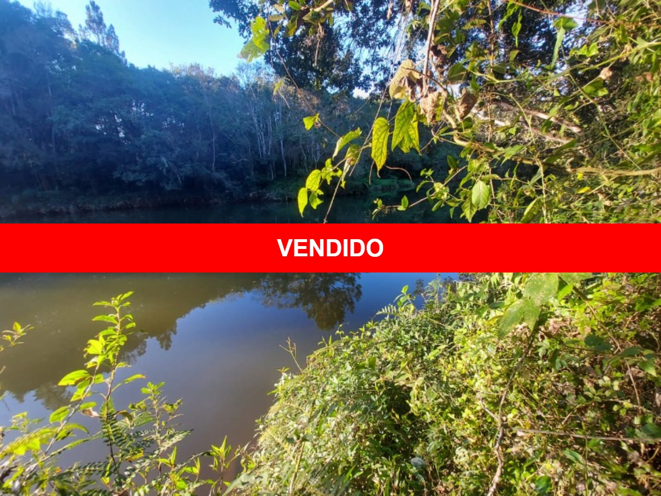 TERRENO RURAL em JUQUITIBA - SP, Centro