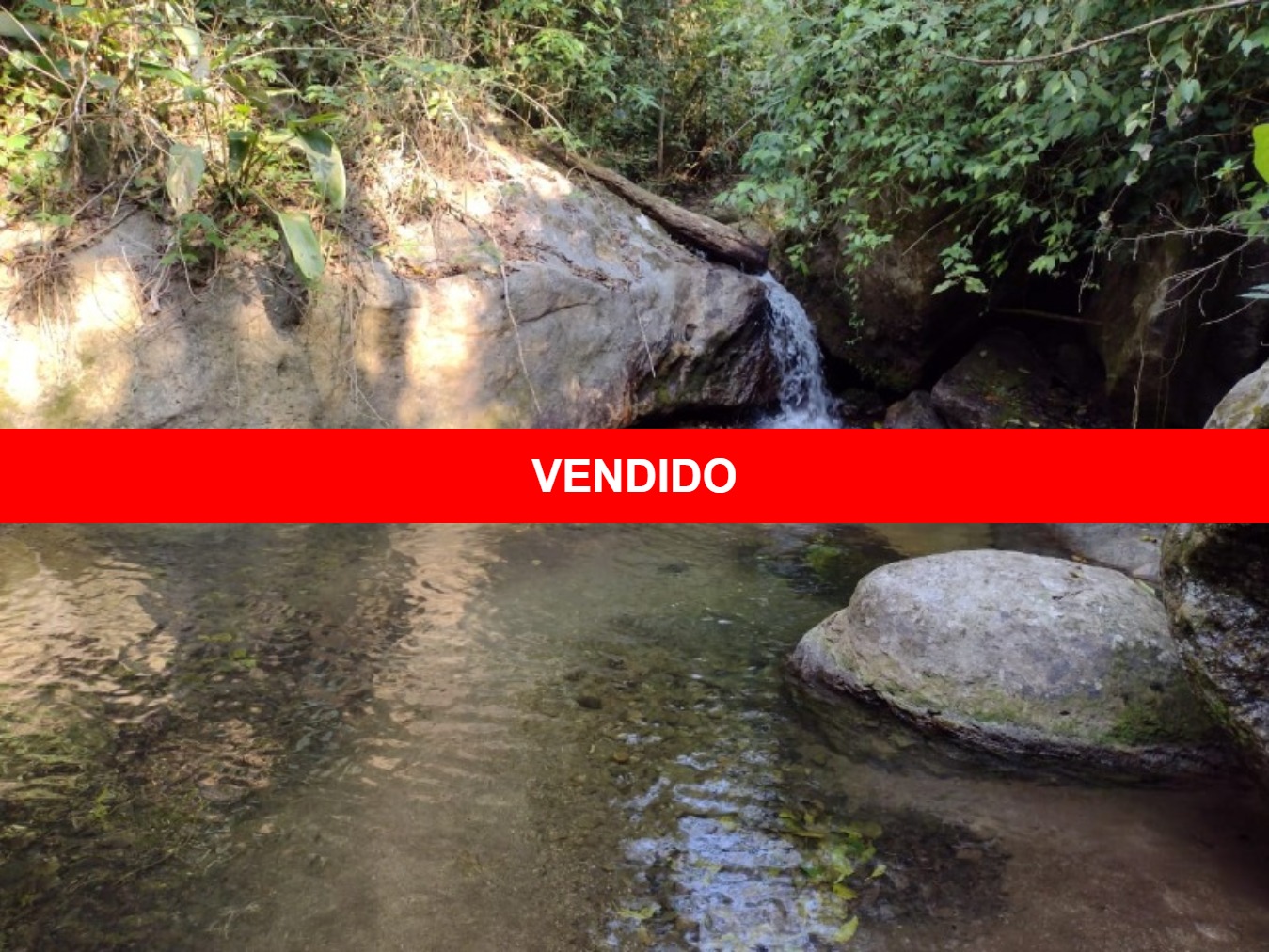 Sitio medindo 12 Alqueires com Cachoeira Particular