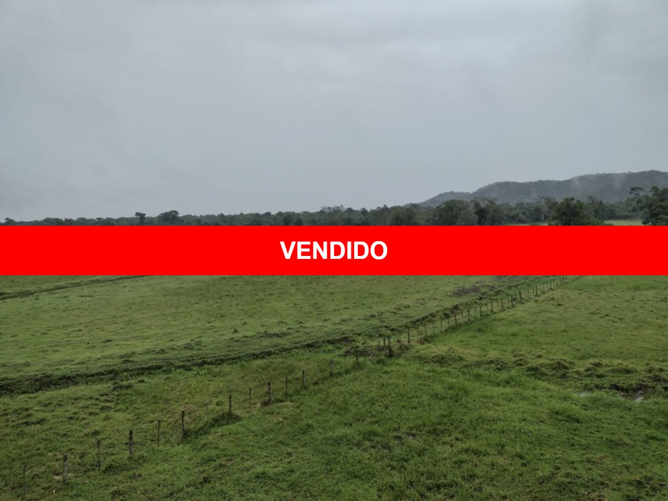 Fazenda localizada em Miracatu-SP a aproximadamente 95 km de São Paulo Capital