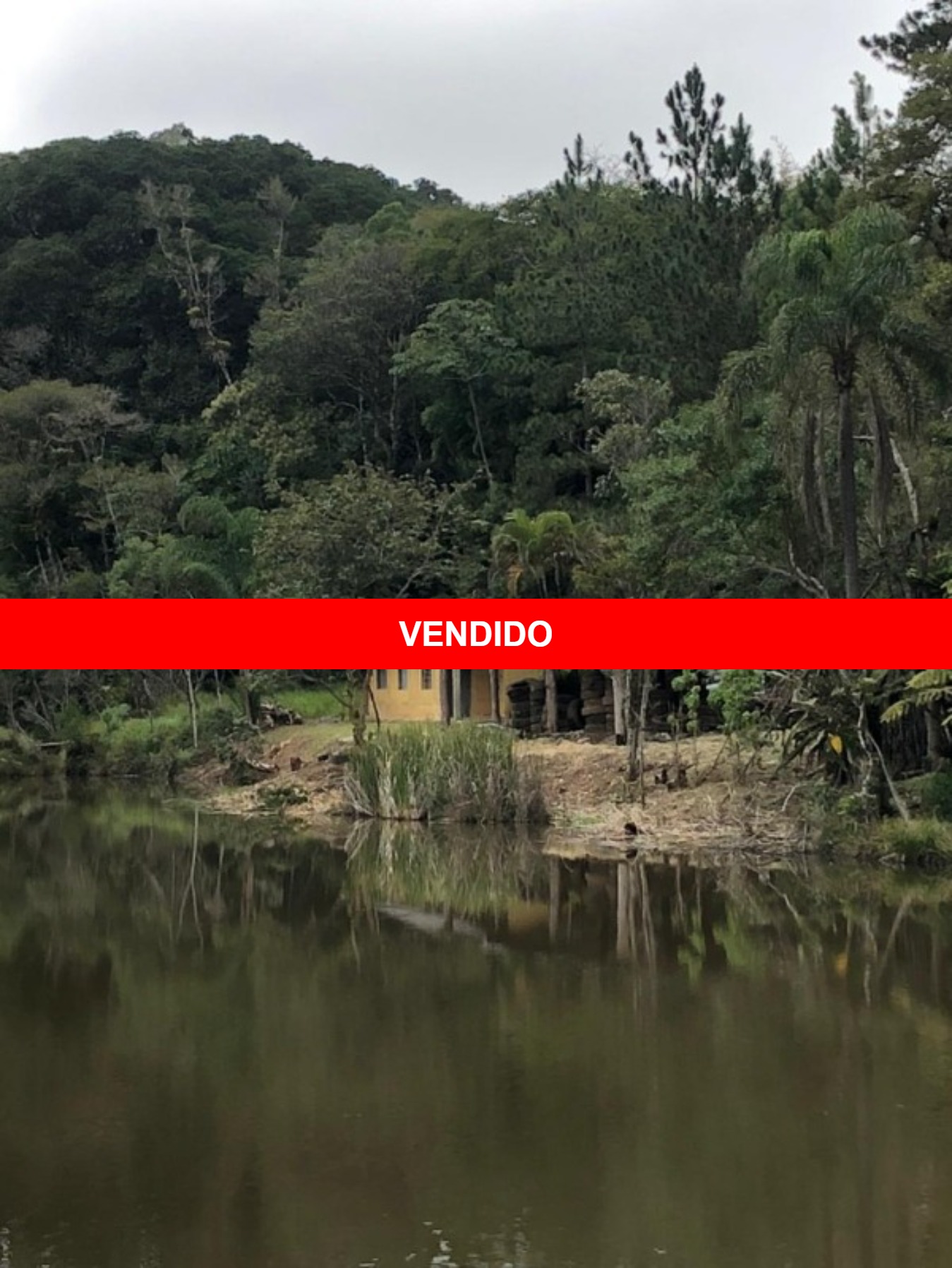 Sitio 45 Mil Metros Com Grande Lago