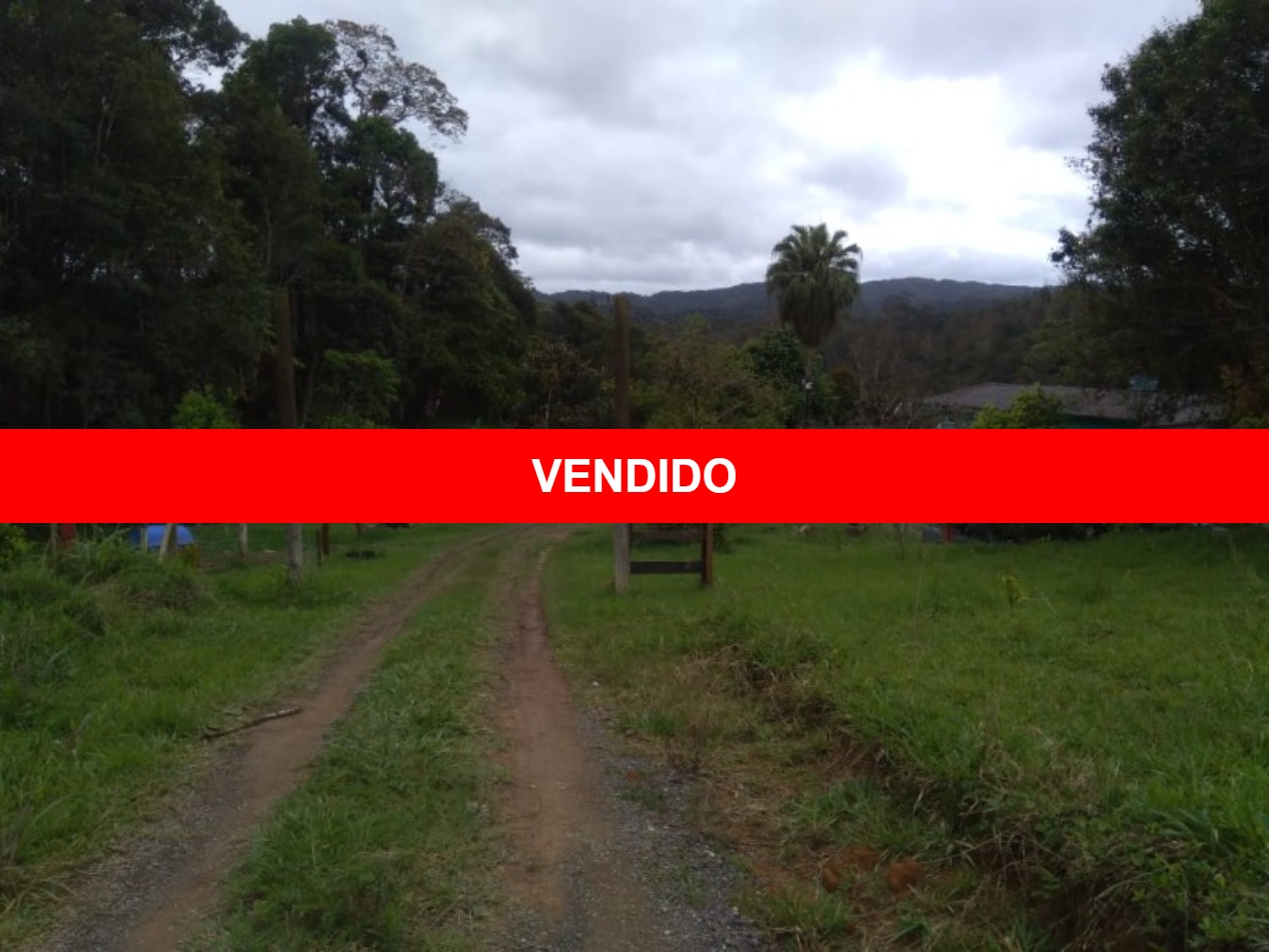 Sítio 25.000m² a 1,5km da Rodovia em Juquitiba-SP