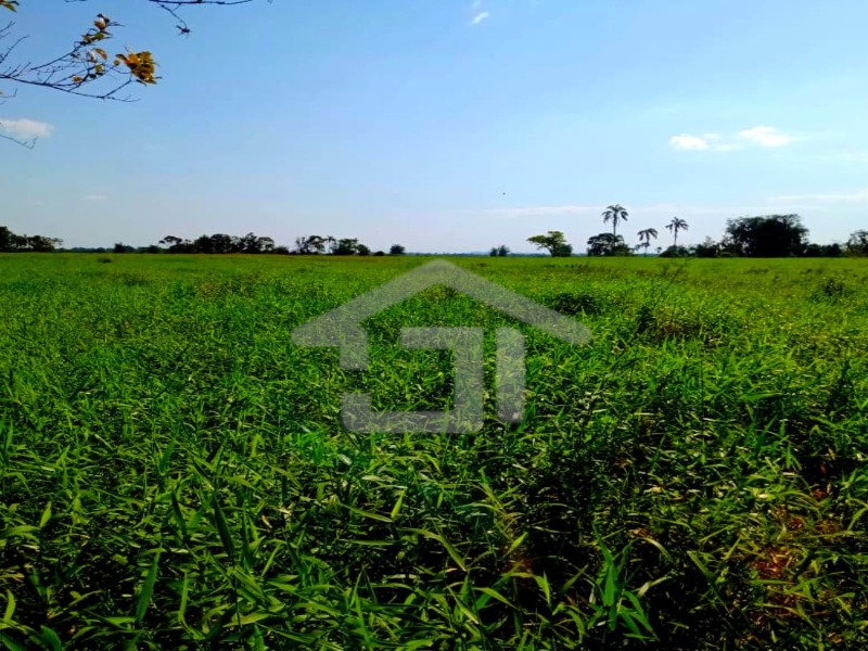 Fazenda 26 Alqueires Paulistas (629.900m²) com excelente pastagem ideal para a criação de gado