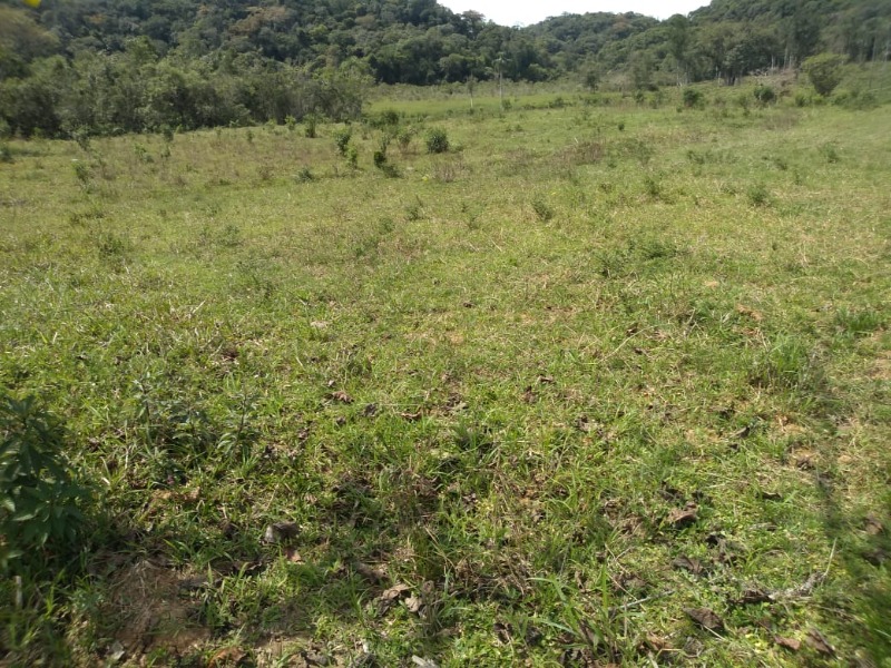 Fazenda 57 alqueires (1.379.400m²) com aproximadamente 40 alqueires (968.000m²) de área de pasto