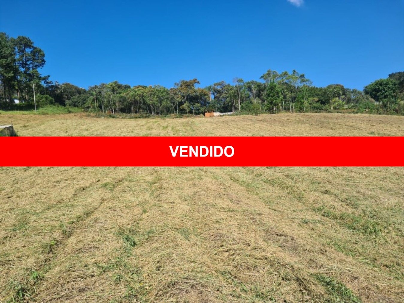 Terreno 3.250m² localizado a 4km da Rodovia Régis Bittencourt, BR 116 em São Lourenço da Serra-SP