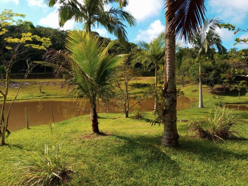 Sitio 133.000m² Com 7 Lagos a Venda em Jacupiranga-SP