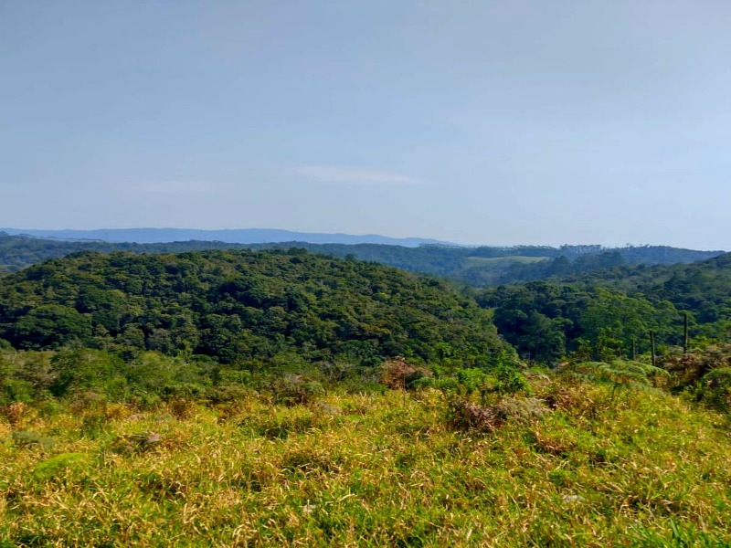 Terreno 2.347m² c/Excelente Localização em Juquitiba-SP
