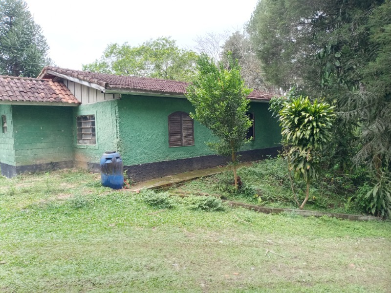 Sitio 4 alqueires estilo fazenda
