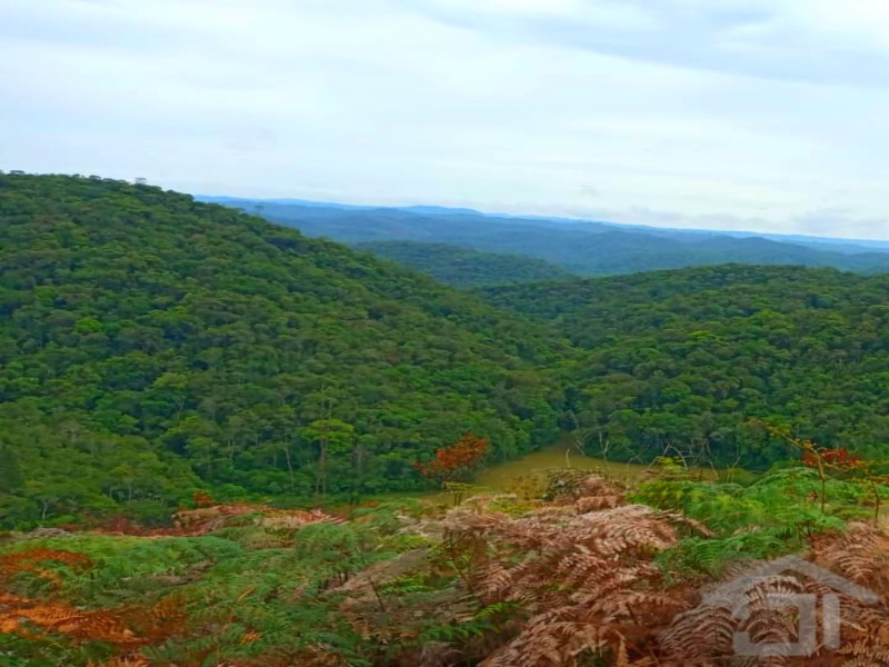 Terreno 9.000m² localizado a 6km da Rodovia na divisa entre Juquitiba-SP e Miracatu-SP