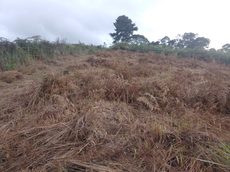 Lindo Terreno medindo 21.000,00 m², em Juquitiba-SP