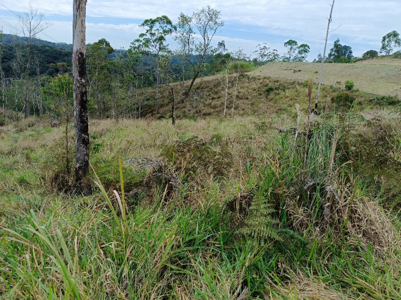 Vende-se Terreno medindo 10.000,00 m² Próximo a Represa em Juquitiba-SP