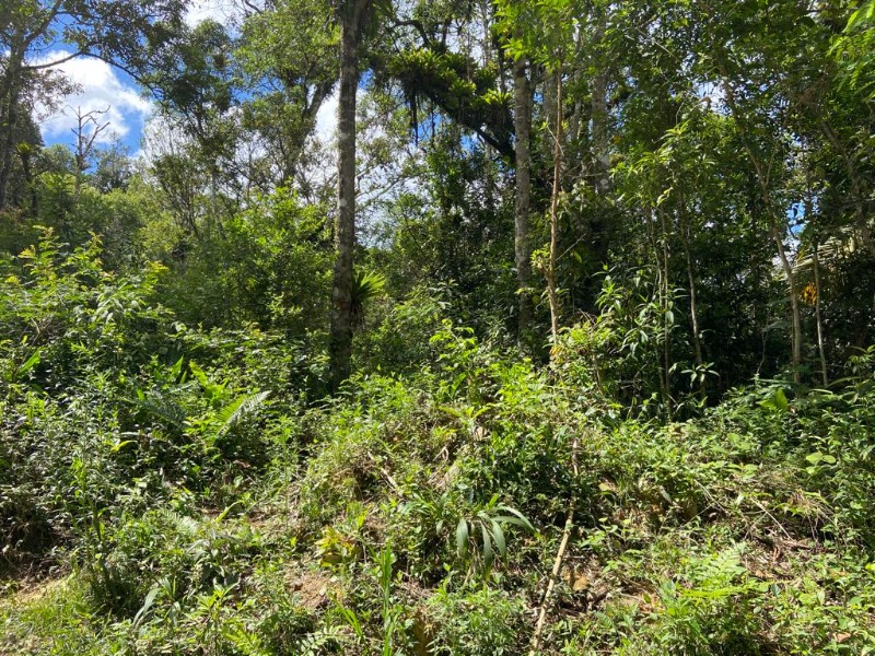 Terreno medindo 49.150,52 m² ou 2,031 Alqueires, Localizado na divisa entre Juquitiba e Miracatu-SP