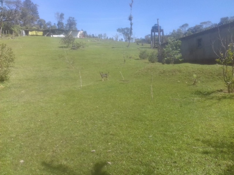 Chácara para quem busca tranquilidade no meio do mato!!!!