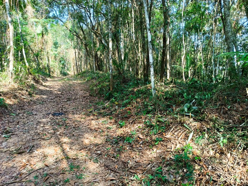 Terreno 2.712,67 m², com ótima Localização , boa topografia e ótimo acesso em Juquitiba-SP