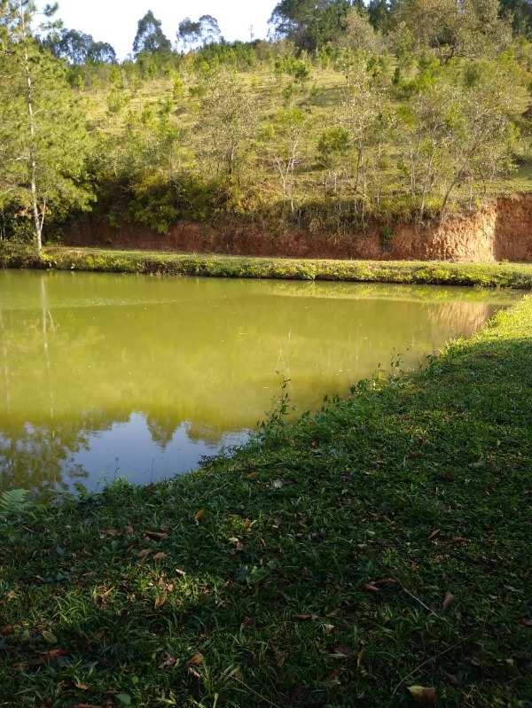 Terreno Lindo Excelente para formar chácara medindo 23.868,91 m²