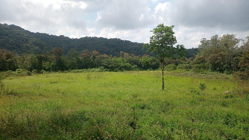 Terreno 7 Alqueires Registrado as Margens da Rodovia Regis Bitencourt em Juquitiba-SP