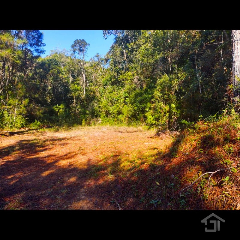 Terreno 02 Alqueires Paulista (48.400m²) à 11km da Rodovia em Juquitiba-SP