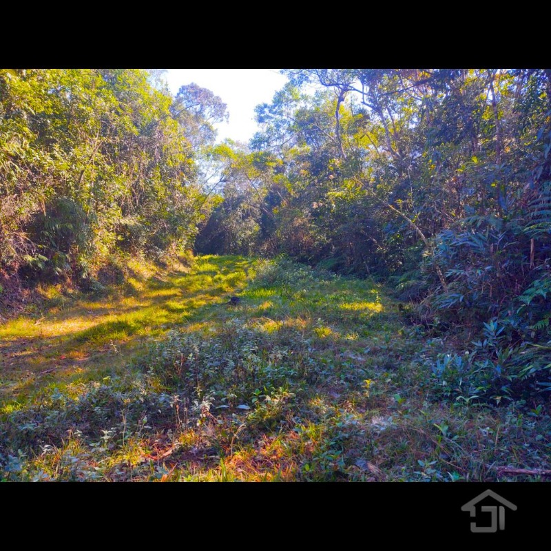 Área de 10 Alqueires Paulista (242.000m²) em Juquitiba-SP