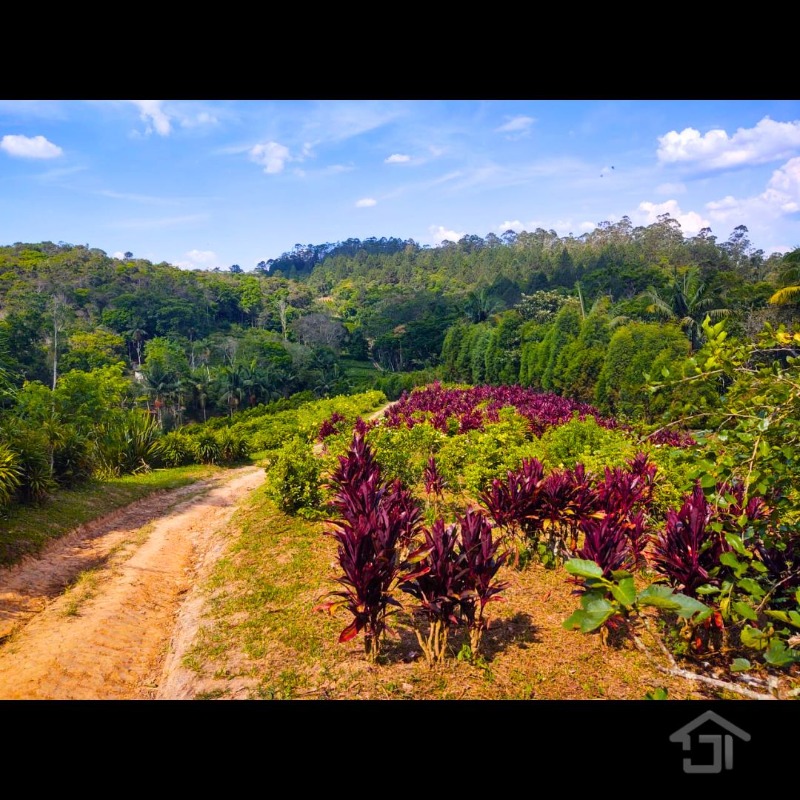 SITIO RURAL em JUQUITIBA - SP, Centro