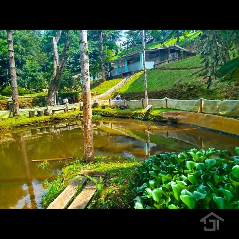 CHACARA RURAL em JUQUITIBA - SP, Centro