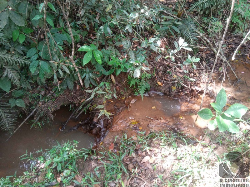 Lote para Comprar em Moeda - MOEDA - MG