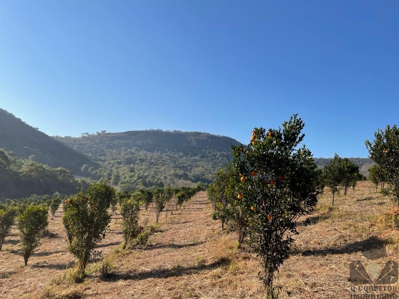 Lote para Comprar em Moeda - MOEDA - MG