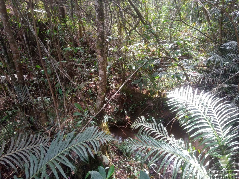 Lote para Comprar em Moeda - MOEDA - MG