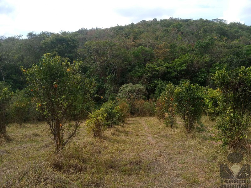 Lote para Comprar em Moeda - MOEDA - MG