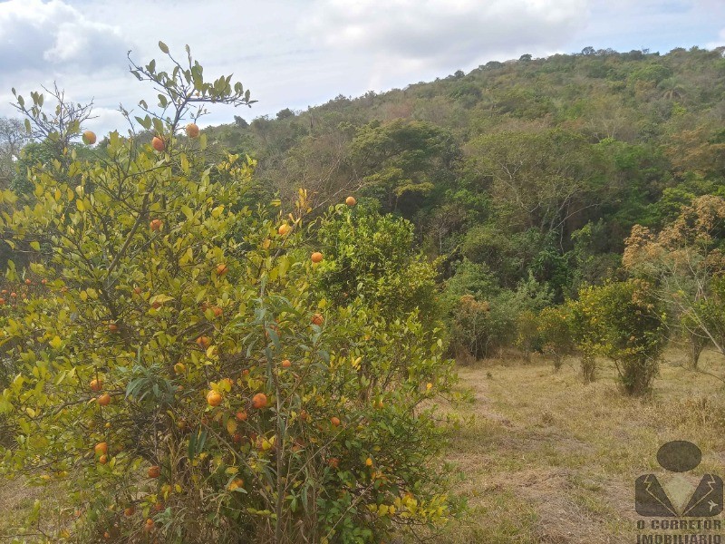 Lote para Comprar em Moeda - MOEDA - MG
