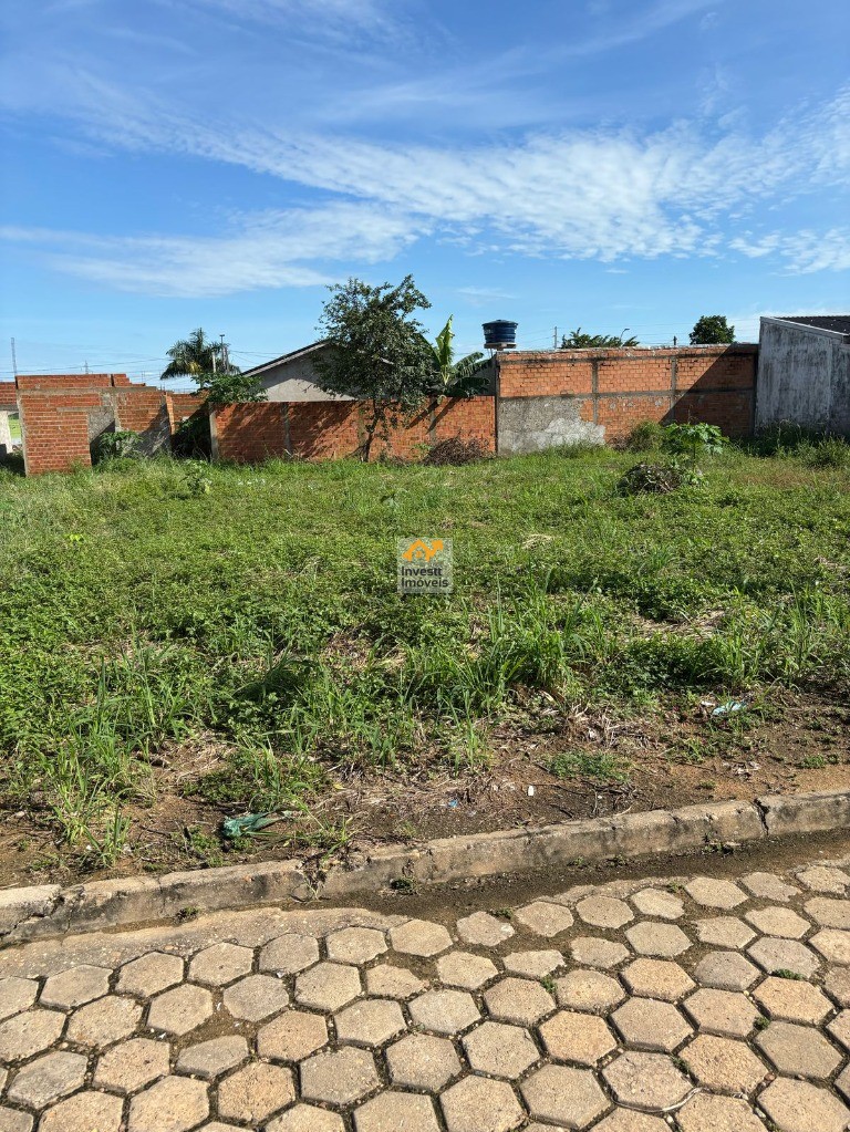 Terreno à venda - Foto 3
