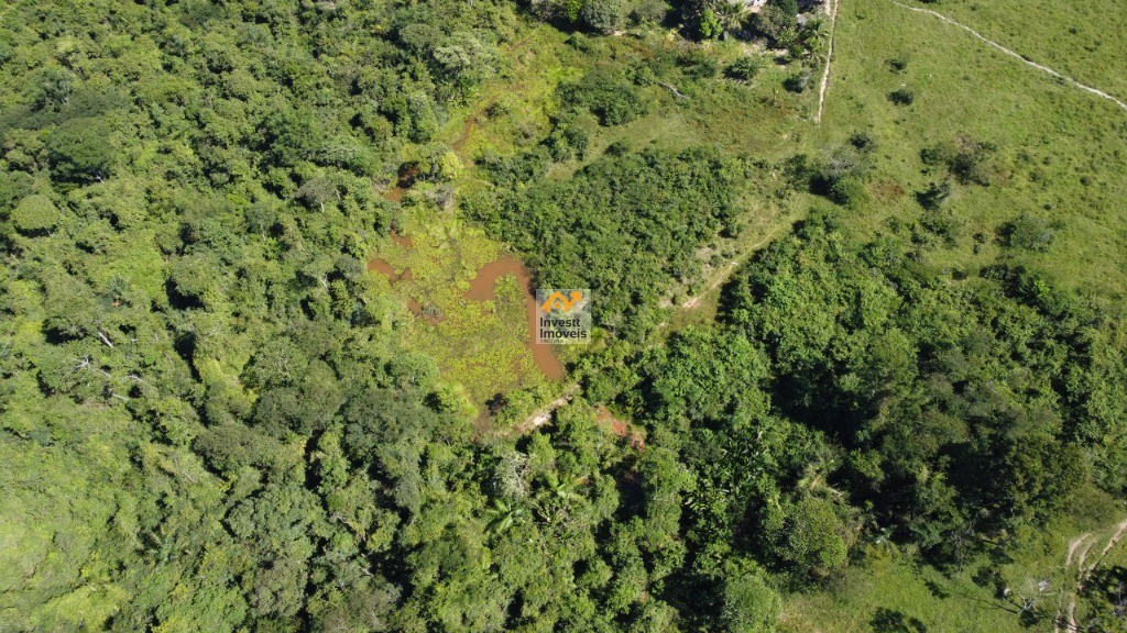 Fazenda à venda - Foto 7