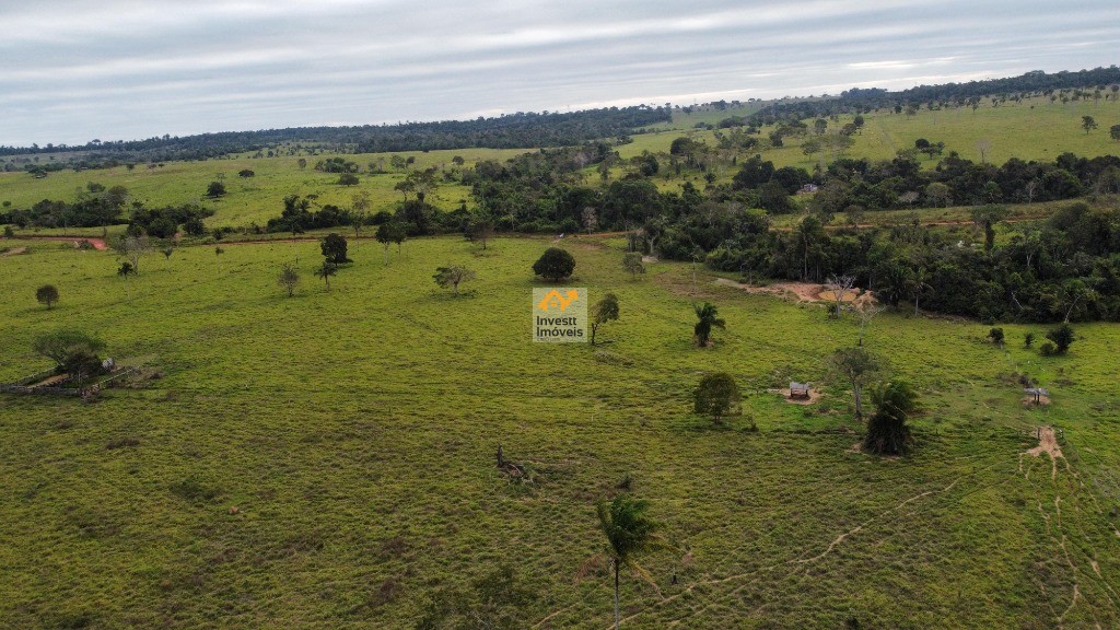 Sítio à venda - Foto 2