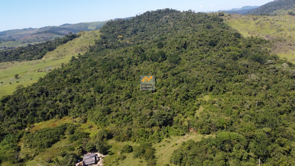 Fazenda à venda - Foto 6