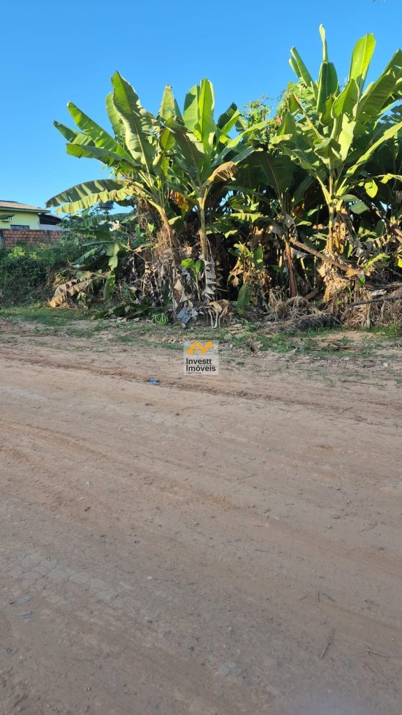 Terreno à venda - Foto 2