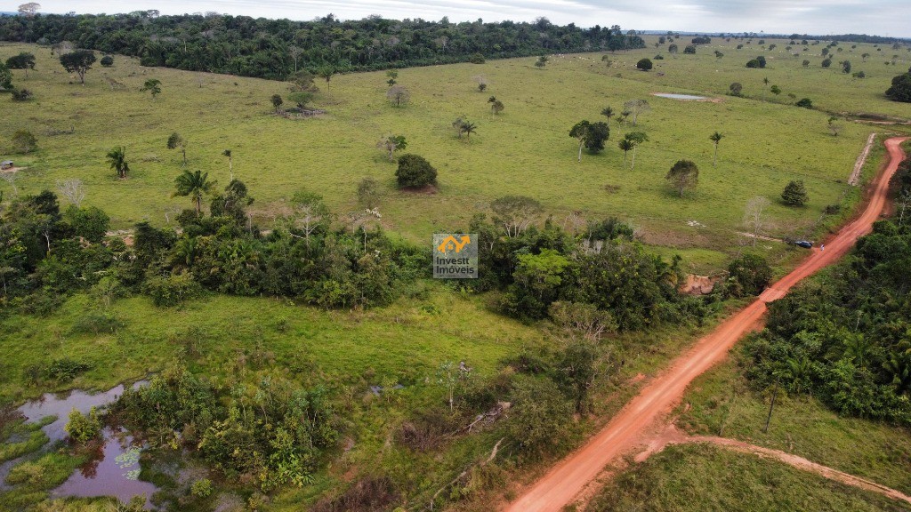Sítio à venda - Foto 7
