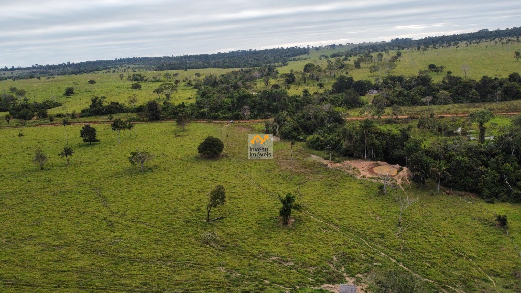 Sítio à venda - Foto 1