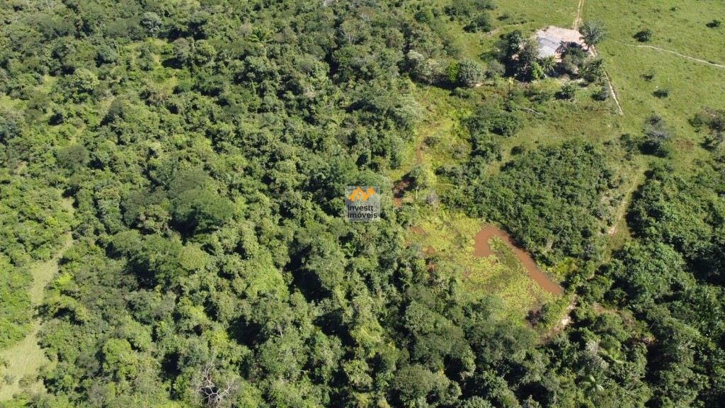 Fazenda à venda - Foto 8